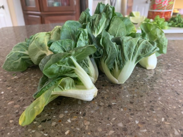 Bok Choy