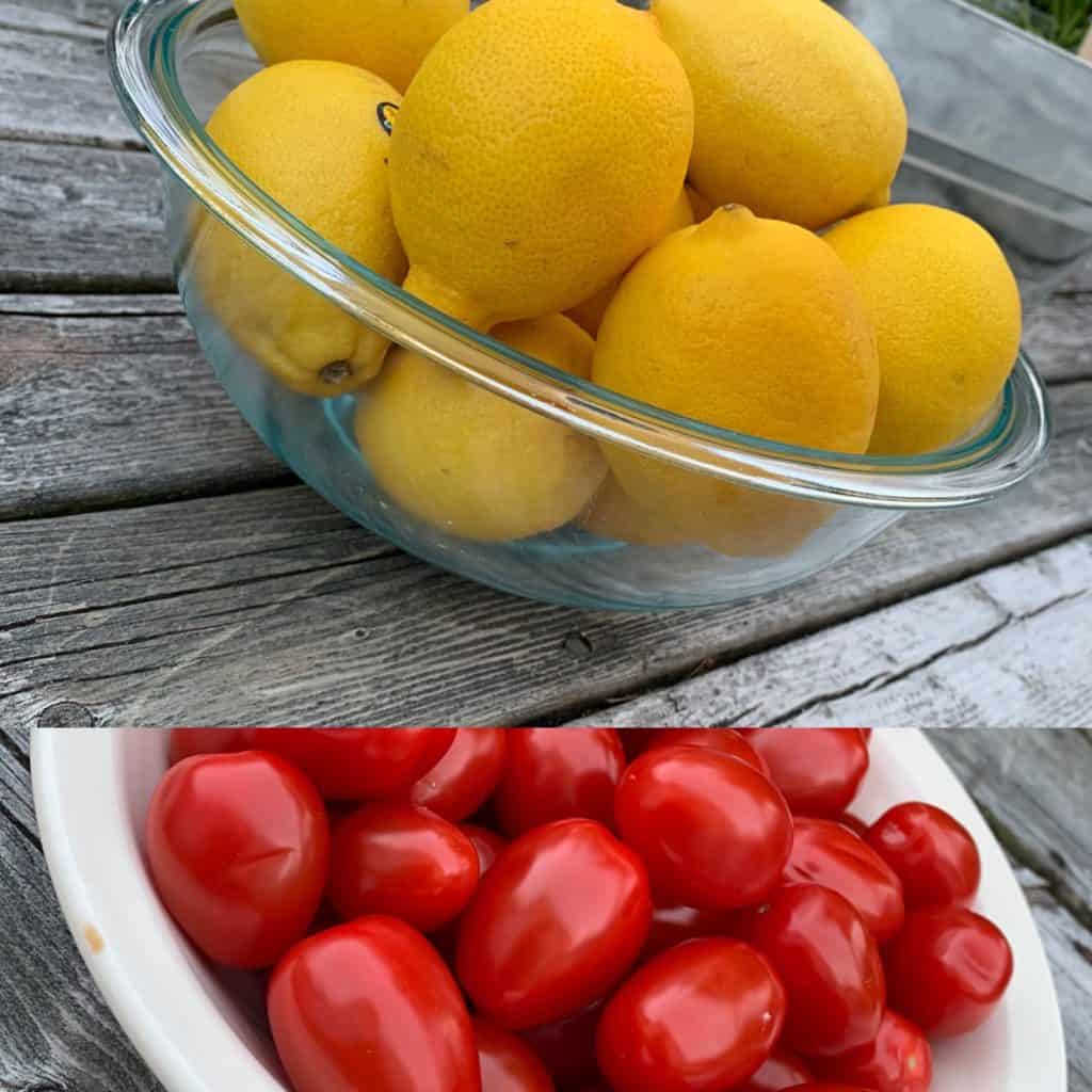 Lemons and Tomatoes