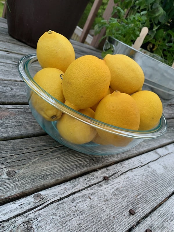 Bowl of Lemons