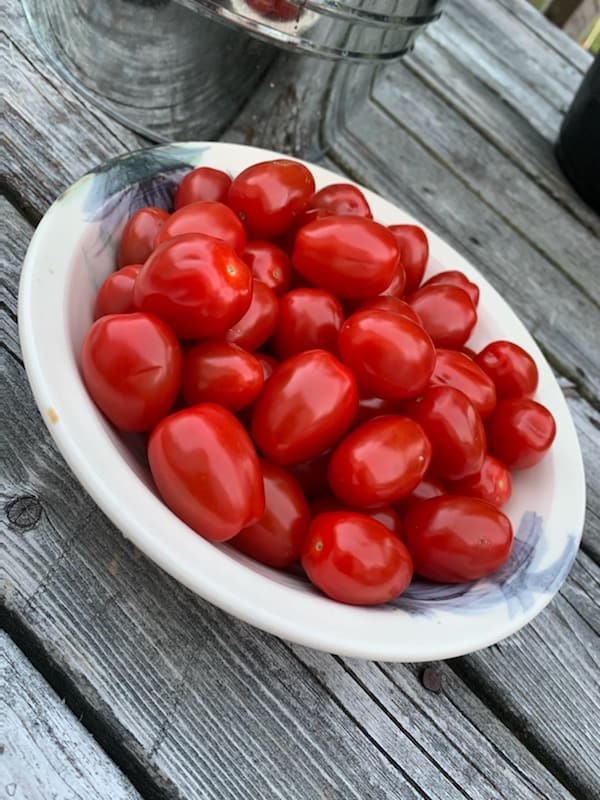 Bowl of Tomatoes