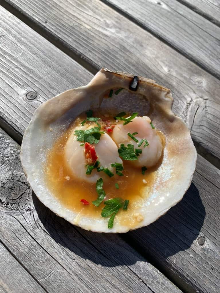 Scallop Crudo